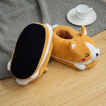 Chausson Shiba